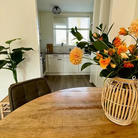 Pura Vida - Sfeervol Met 3 Slaapkamers En Zonnige Tuin