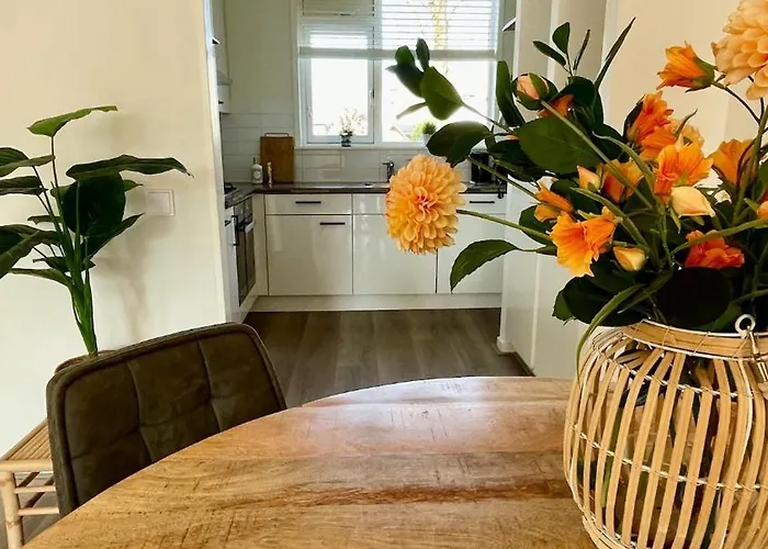 Pura Vida - Sfeervol Met 3 Slaapkamers En Zonnige Tuin