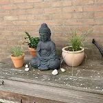 Pura Vida - Sfeervol Met 3 Slaapkamers En Zonnige Tuin *