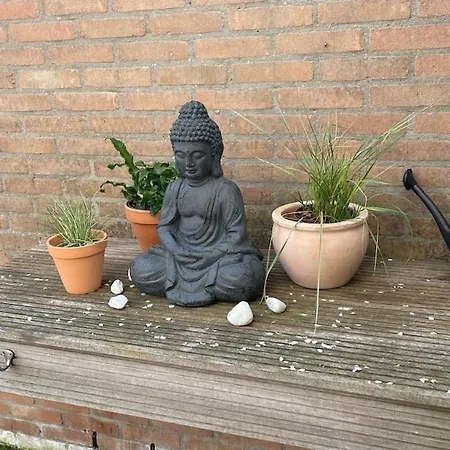 Pura Vida - Sfeervol Met 3 Slaapkamers En Zonnige Tuin *
